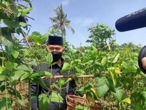 Pemkot Jambi Kembangkan Agrowisata untuk Tumbuhkan Perekonomian 