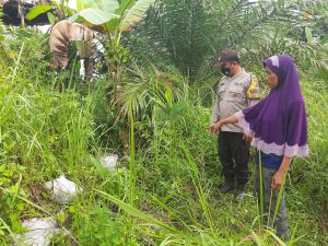 8 Ekor Kambing Dicuri, Seorang Warga Desa Talang Duku Rugi Belasan Juta Rupiah