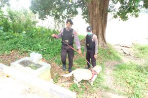 Razia ke Kampung Pulau Pandan, Polisi Sebut Aktivitas Narkotika Tak Seperti Dulu 