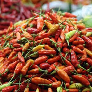 Harga Cabai Naik, Pasokan Jadi Persoalan
