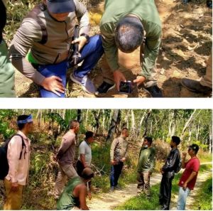 Warga Desa Batin Dihebohkan Penemuan Jejak Harimau