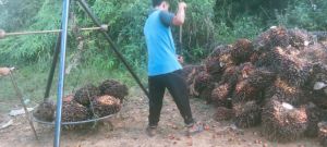 Beredar Kabar PT AWI Tutup, Haris: Masih Tetap Buka