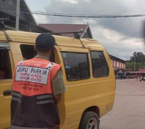 Realisasi Penerimaan Pajak dan Retribusi Sudah 50 Persen, Parkir dan Air Tanah Masih Rendah