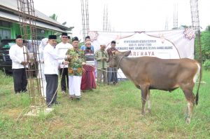 Pj Bupati Tebo Aspan Serahkan 7 Hewan Korban