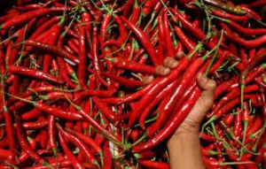 Harga Cabai dan Bawang Melambung Tinggi