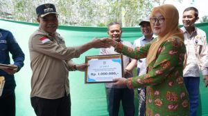 Tanam Bawang Merah Perdana di Rimbobujang, Aspan: Target 5 Ton Per Hektar