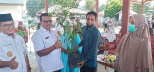 Pemkot Jambi Bagikan Ribuan Bibit Cabai ke Masyarakat