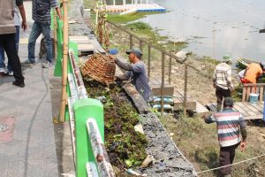 Penuh Enceng Gondok, Komisi III DPRD Kota Jambi Tinjau Danau Sipin 