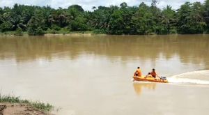 Tergelincir di Ponton, Empat Truck Angkutan Sawit di Tebo Tenggelam di Sungai