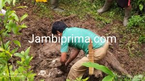 Cekcok Soal Durian, Seorang Warga Masurai Dikubur di Dalam Rawa