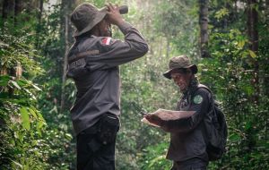 Konservasi Kawasan Hutan, LAJ Perkuat Sinergitas dengan TNBT