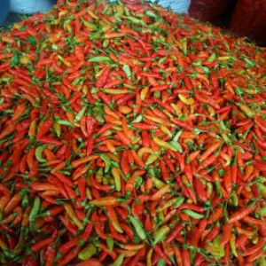 Harga Cabai dan Ayam Alami Kenaikan 
