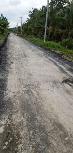 Beberapa Anggota Dewan Dapil Senyerang - Pengabuan Bungkam Saat Ditanya Soal Proyek 