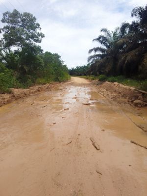 Jalan Rusak di Persiapan Air Merah Butuh Perbaikan dari Pemerintah