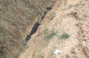 DLH Tanjab Barat Bungkam Terkait Dugaan Pembuangan Limbah PT IIS ke Sungai 