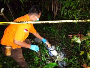 Warga Lubuk Tabun temukan Tengkorak Manusia di Ladang