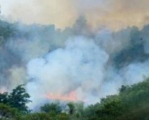 Kemarau, Jumlah Titik Panas di Jambi Meningkat