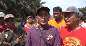 Konflik dengan PT PHL, Warga Desa Petanang Minta Bantuan Jokowi dan Mahfud MD 