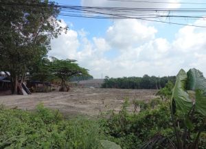 Warga Aur Kenali Tolak Rencana Pembangunan Stockpile Batu Bara