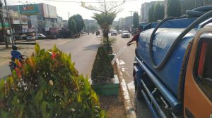 Tanaman di Jalur Hijau ada Yang Kering, Penyiraman Dilakukan Dua Kali Sehari
