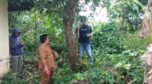 Pemkot Ukur Ulang SDN 212 Kota Jambi