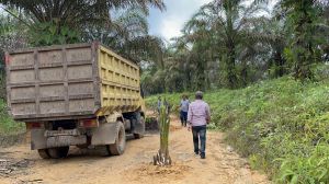 Ditanami Bonggol Sawit, Akses Jalan Warga Suko Awin Jaya Terganggu