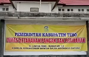 Dukung Program MBG, DKPP Siap Memfasilitasi Bumdes Untuk Program MBG di Kab Tebo