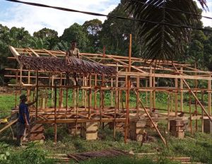 Hari Ini Satgas TMMD ke 123 Pasang Atap Rumbia Kandang Kambing