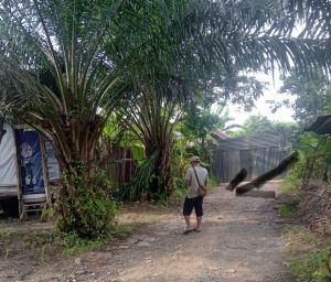 Pemilik Gudang yang Viral di TikTok Selama ini Diduga Adalah ML