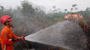 Kebakaran Kebun Warga di Tebo Ulu, BPBD Tebo Imbau Masyarakat Tidak Buka Lahan Dengan Cara Dibakar