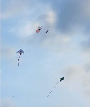 Puluhan Layang-Layang Meriahkan HUT RI ke-80 di Kota Jambi