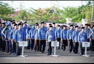 Beberapa OPD Pemkab Tebo Yang Kembali Digabung, Ada Tambahan Satu Bidang dan Satu Bagian Baru