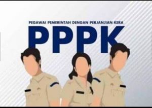 Pemkot Jambi Usulkan 121 Orang Honorer Jadi PPPK Paruh Waktu