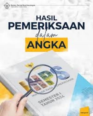 Kasi Intel Kejari Tebo Bilang Baru Dinas PUPR Yang Mengajukan MOU Untuk Tagih Temuan BPK 2024