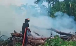 Kebun Warga Aur Cino Terbakar, Damkarmat VII Koto Sigap Padamkan Api