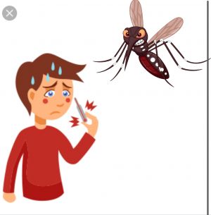 76 Kasus DBD di Tebo Sepanjang 2025, Seluruh Pasien Berhasil Sembuh