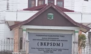 Pendaftaran Lelang JPT Pratama Pemkab Tebo Ditutup, BKPSDM Tunggu Hasil Rapat Pansel