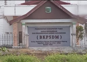BKPSDM Tebo Tetapkan Peserta Lolos Administrasi dan Rekam Jejak Seleksi Terbuka JPT Pratama 2025