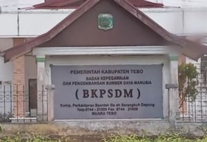 Hasil Selter JPT Pratama Pemkab Tebo Molor, BKPSDM Targetkan Pengumuman 8 Januari 2026