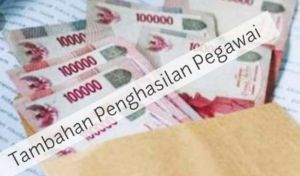 TPP ASN Tebo Dipangkas, Tahun 2026 Hanya Dibayar 30 Persen