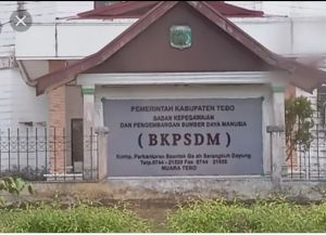 PNS di Tebo Niat Maju Pilkades, Tanuji Protes Surat Dikbud