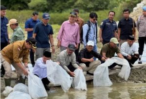 Bersama Gubernur Jambi, Bupati Monadi Tebarkan Bibit Ikan di Danau Kerinci