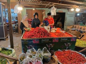 Harga Cabai di Bungo Turun, Cabai Merah Kini Rp30 Ribu per Kilogram
