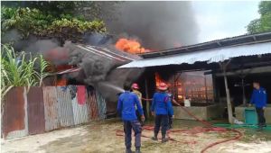 Bangsal Kayu dan Mobil Hangus Terbakar di Rimbo Tengah, Kerugian Capai Rp150 Juta