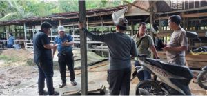 Rektor UIN STS Jambi Cek Hewan Kurban Jelang Iduladha 1447 H