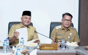 Bupati Tebo Ikuti Rakor Pengendalian Inflasi, Tegaskan Komitmen Jaga Stabilitas Harga
