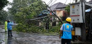 Cuaca Ekstrem Ancam Jaringan Listrik, PLN Rimbo Bujang Imbau Warga Tingkatkan Kewaspadaan