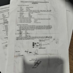 Kasus Dugaan Penipuan Lahan 6 Hektar di Tebo Naik Sidik, Oknum Kades Ikut Disorot