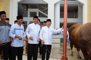 Presiden Prabowo Salurkan Sapi Kurban 930 Kilogram untuk Warga Jambi