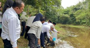 Rektor UIN STS Jambi Tebar 500 Bibit Gurami, Siapkan Kolam Edukasi dan Usaha Produktif